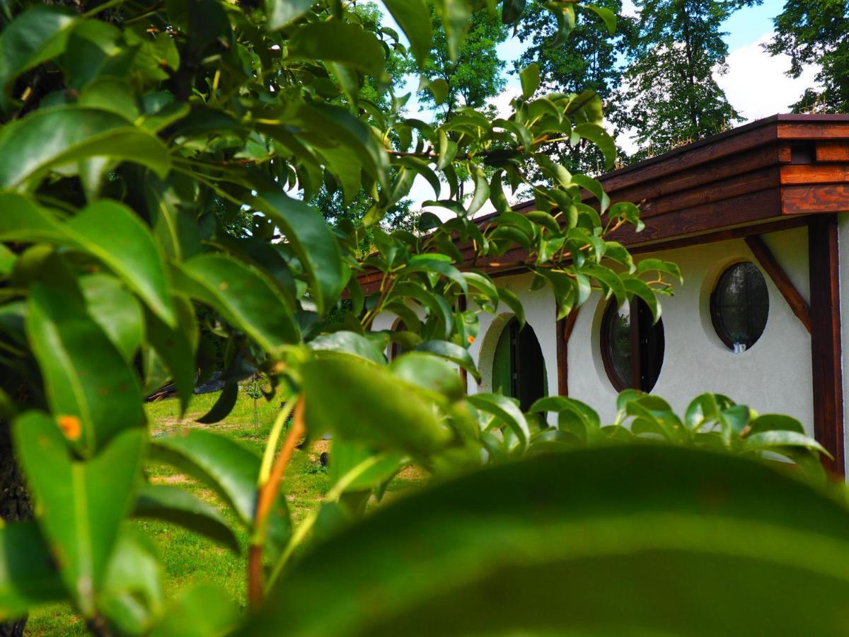 Chata Karkonoskiego Skrzata Villa Sosnówka Kültér fotó
