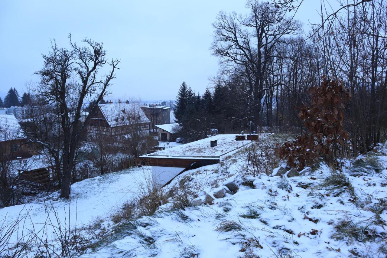 Chata Karkonoskiego Skrzata Villa Sosnówka Kültér fotó